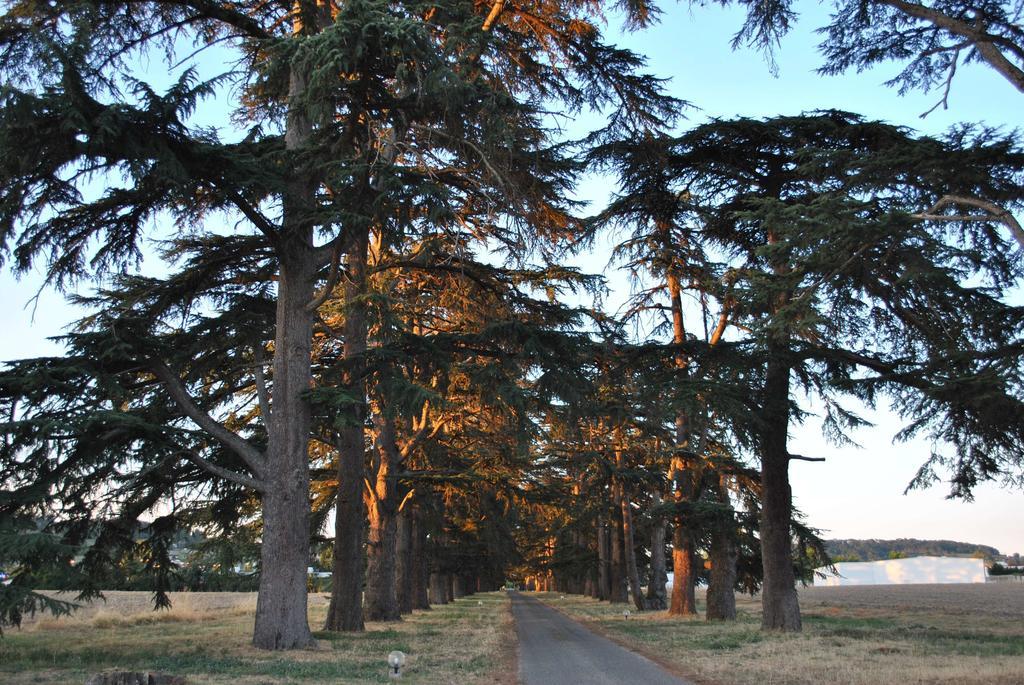 Logis Hotels - Chateau Saint Marcel Boé Kültér fotó